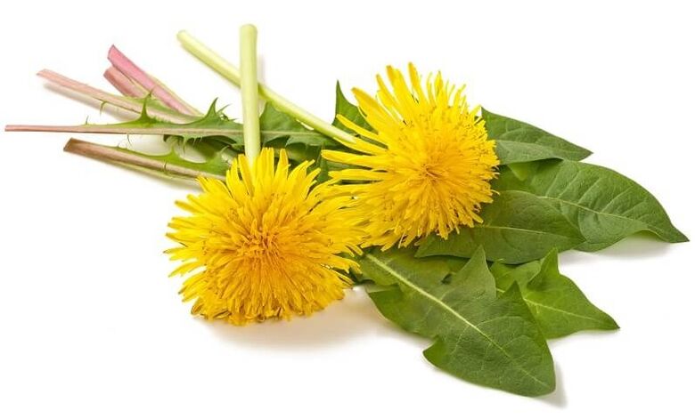 NEOflorax contiene diente de león