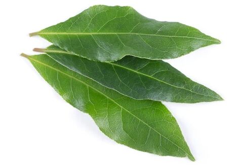 NEOflorax contiene hoja de laurel