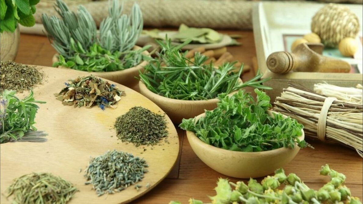 Hierbas para eliminar los parásitos del cuerpo.