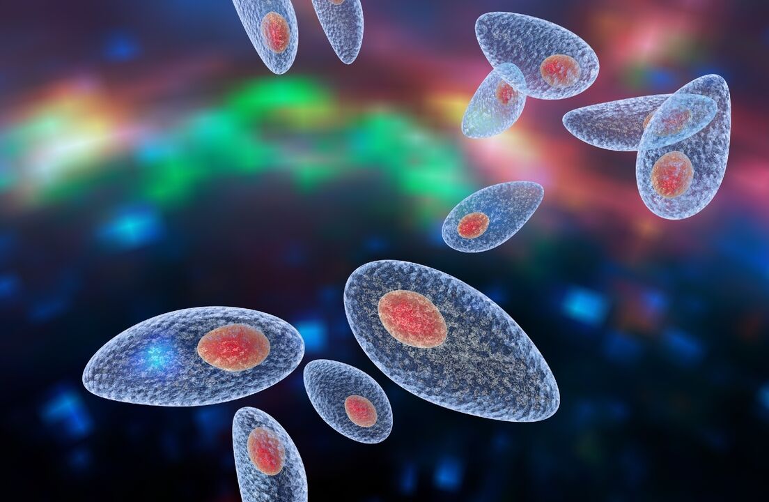 agente causante de la toxoplasmosis en el cuerpo
