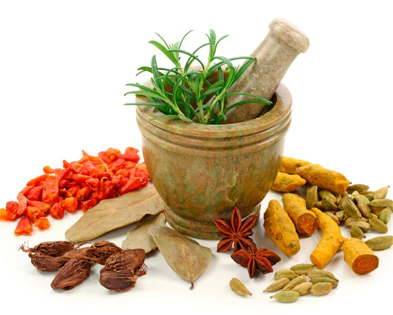 Materiales vegetales utilizados para eliminar lombrices.